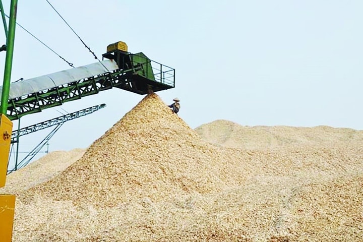 Thuế xuất khẩu với dăm gỗ: Bỏ hay không bỏ?