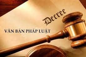 Một số chính sách mới của Chính phủ có hiệu lực từ tháng 9/2023
