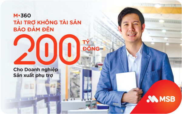 ​MSB tài trợ không tài sản bảo đảm đến 200 tỷ đồng