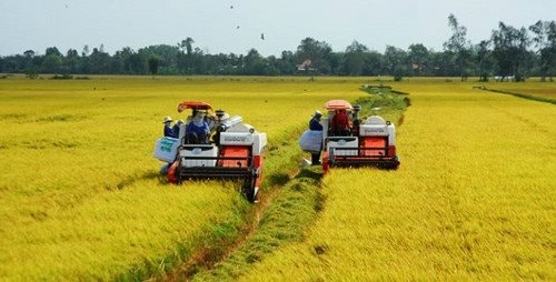 An Giang đẩy mạnh giải ngân vốn các ngành hàng nông nghiệp chủ lực