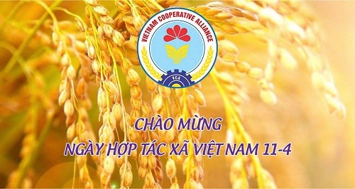Niềm tin là “nguồn vốn” đặc biệt của hợp tác xã