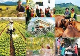 Chương trình công tác năm 2023 của Ban Chỉ đạo Trung ương các chương trình mục tiêu quốc gia giai đoạn 2021 - 2025