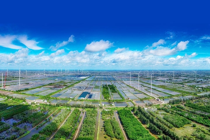 Lĩnh vực nào sẽ chi phối tăng trưởng kinh tế Việt Nam?