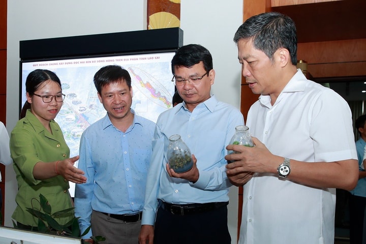 Đề xuất Nghị quyết mới quản lý, bảo vệ, phát triển rừng và phát triển lâm nghiệp bền vững