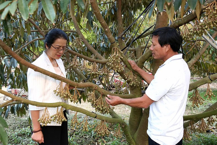 Ở đâu có Tam nông - ở đó có Agribank