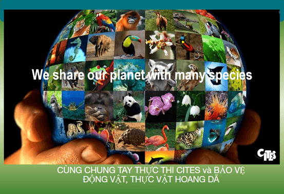 Nhiều khó khăn, thách thức trong thực thi công ước CITES