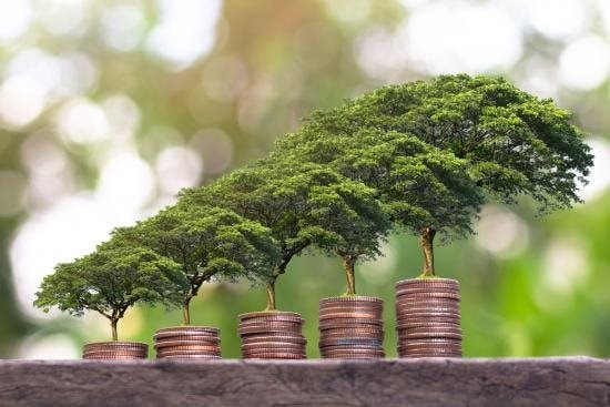 Chiến lược tăng trưởng xanh: Cần nghiên cứu, xây dựng bộ tiêu chí khoa học về phân loại xanh