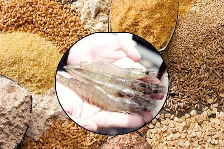 Giải pháp nào giúp kiểm soát ổn định giá thức ăn thủy sản?