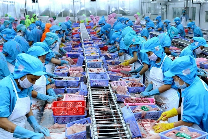 Tăng liên tiếp 3 tuần, ANV có thể nối dài chuỗi tăng giá?