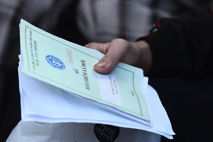 TP. Hồ Chí Minh: Hơn 21.000 doanh nghiệp nợ bảo hiểm xã hội, Tập đoàn Hoà Bình, Trung tâm Anh ngữ Apax nợ hàng chục tỷ