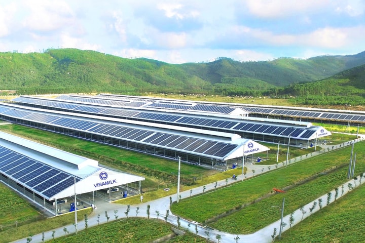 Phân tích dòng tiền từ hoạt động kinh doanh của Vinamilk