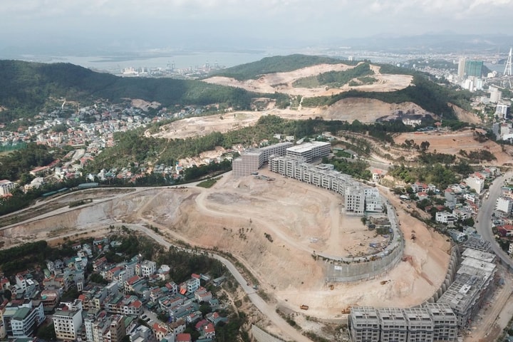 Thu tiền nhưng chưa trồng rừng đủ, 4 địa phương phải chuyển về Quỹ chung hơn 275 tỷ đồng