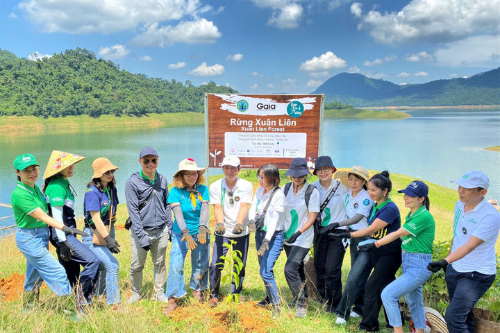 Manulife góp trồng 4.000 cây rừng, tiếp tục hành trình phủ xanh Việt Nam