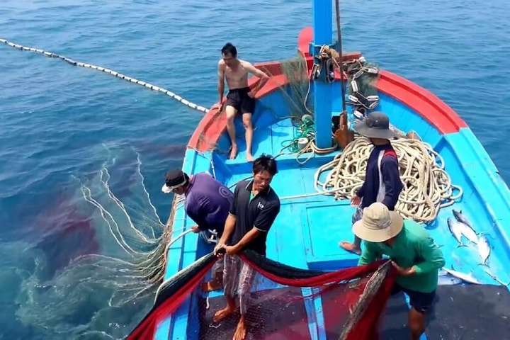 Tập trung thực hiện các nhiệm vụ, giải pháp cấp bách, chống khai thác hải sản bất hợp pháp, không báo cáo và không theo quy định