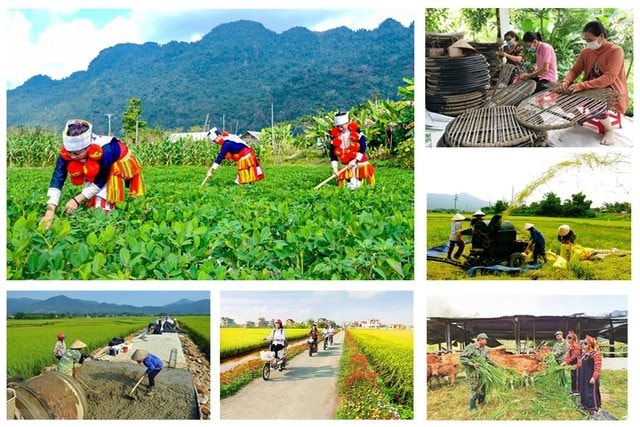 Đề xuất 8 chính sách đặc thù thực hiện chương trình mục tiêu quốc gia