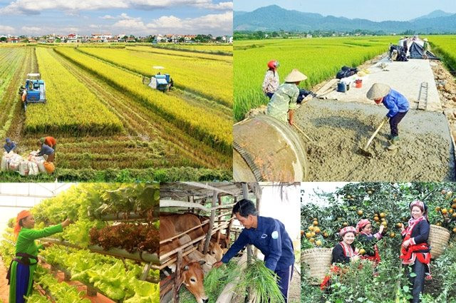 Chính phủ trình Quốc hội 8 cơ chế, chính sách đặc thù thực hiện các chương trình mục tiêu quốc gia