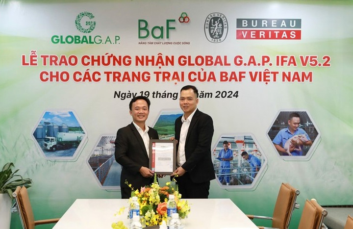 Trang trại chăn nuôi heo của BAF Việt Nam đạt chứng nhận quốc tế GLOBALG.A.P