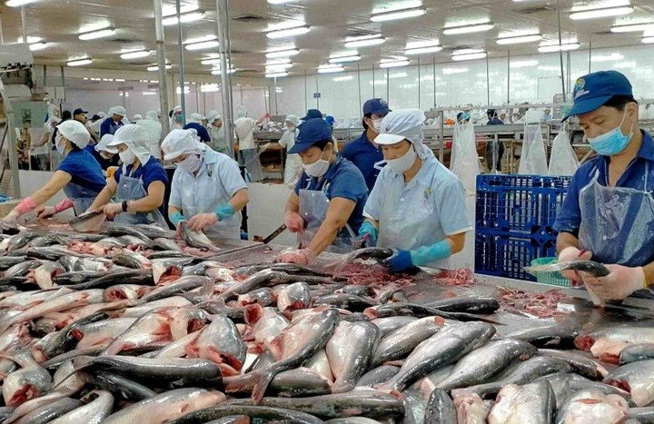 Lợi nhuận doanh nghiệp thủy sản sụt giảm mạnh, Nam Việt giảm gần 94% năm 2023