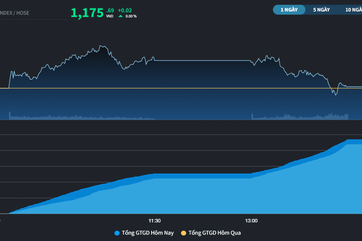 Nỗ lực rời rạc của một số cổ phiếu, VN-Index chỉ tăng 0,02 điểm
