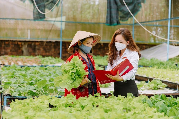 Cánh đồng không dấu chân - Thanh toán chỉ một chạm và giải pháp kết nối để phát triển