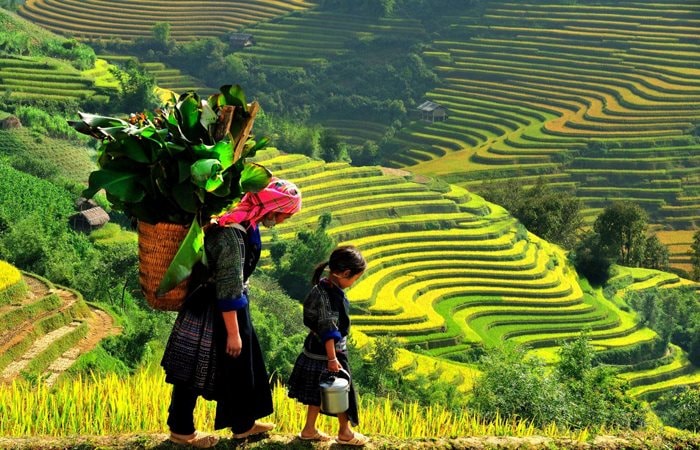 Đề xuất quy định cụ thể việc hỗ trợ đất đai cho đồng bào dân tộc thiểu số nghèo