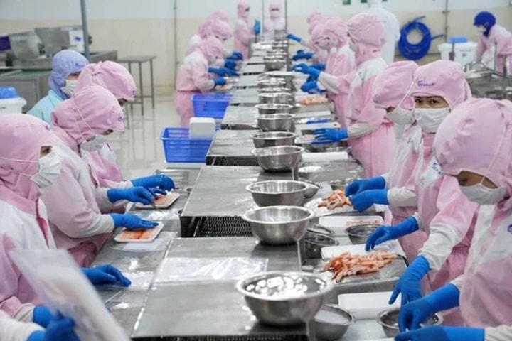 An Giang: Dư nợ tín dụng quý I/2024 ước tăng 1,45%