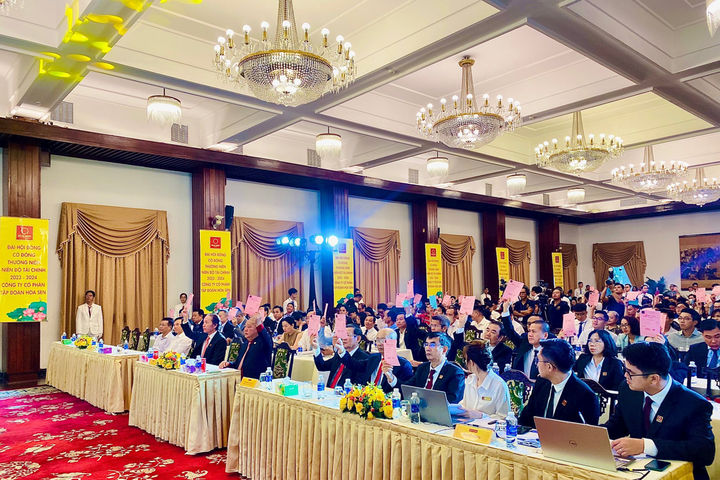 Tập đoàn Hoa Sen lên 2 phương án kinh doanh, thông qua chủ trương tái cấu trúc