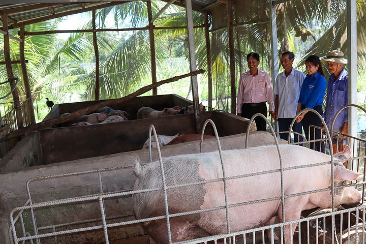 Sóc Trăng: Đẩy mạnh hoạt động ủy thác tín dụng chính sách