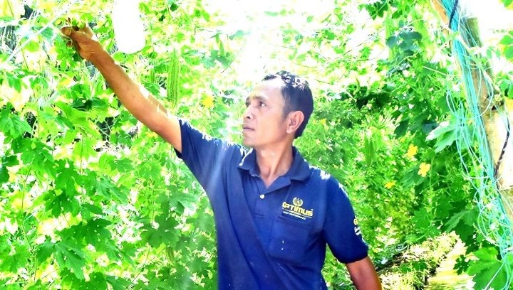 Tín dụng chính sách chung sức xây dựng nông thôn mới và giảm nghèo bền vững ở tỉnh Trà Vinh
