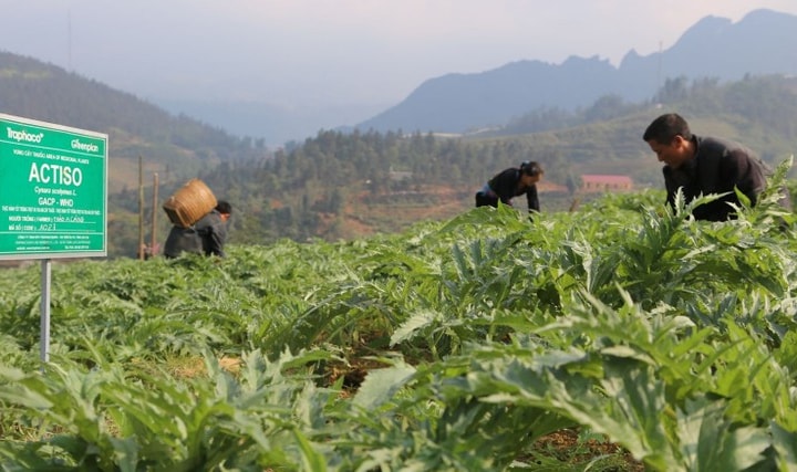 ĐHĐCĐ Traphaco: Không thể trì hoãn việc nâng cấp nhà máy chuẩn EU-GMP, phát triển thêm mảng tân dược