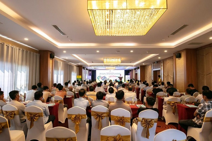 “Chìa khóa” vàng cho cây sầu riêng Tây Nguyên