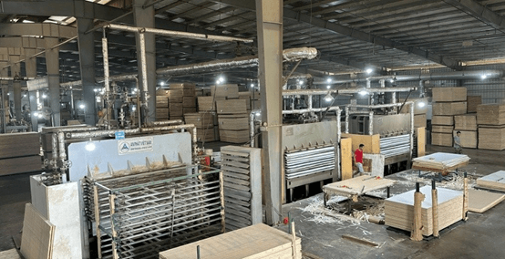 Nhiều doanh nghiệp xuất khẩu gỗ dán sang Hàn Quốc có nguy cơ đóng cửa