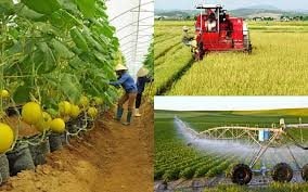 Kế hoạch hoạt động năm 2026 của Ban Chỉ đạo quốc gia về kinh tế tập thể