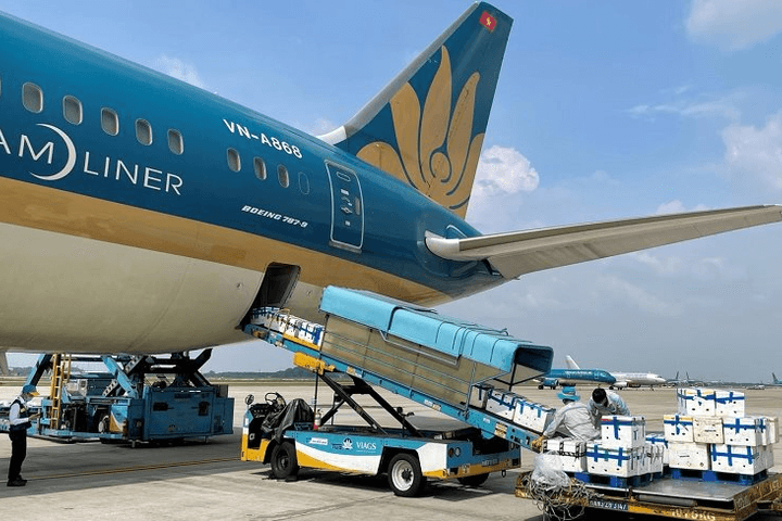 Dịch vụ Hàng hóa Sài Gòn báo lãi kỷ lục, thu 10 đồng lãi ròng 7 đồng