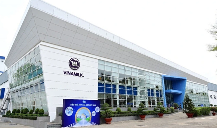 Vinamilk: Chuẩn bị bước chu kỳ tăng trưởng mới, hé lộ thời điểm chạy thương mại nhà máy chế biến thịt bò