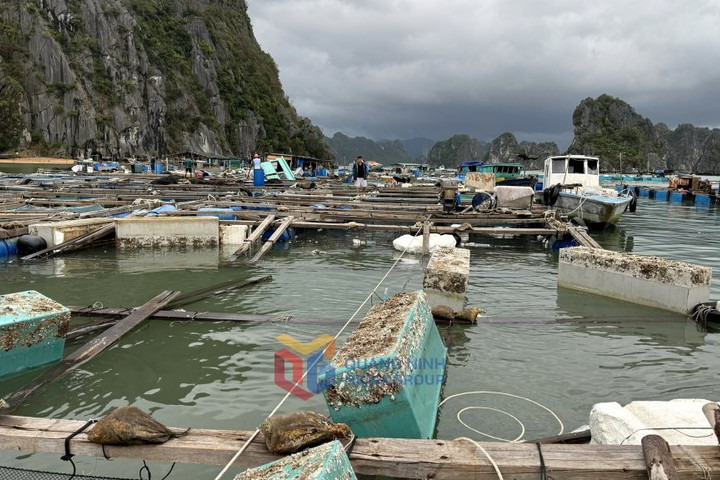 Bổ sung doanh nghiệp là đối tượng được hỗ trợ do thiên tai, dịch bệnh ngành nông nghiệp