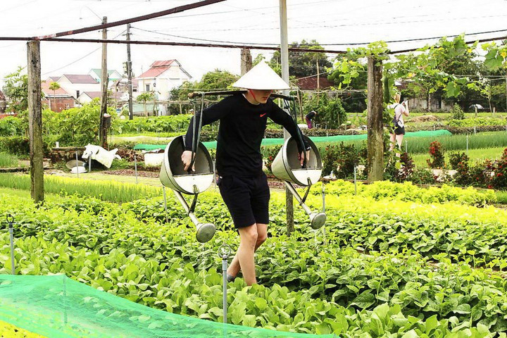 Việt Nam có 3 làng du lịch tốt nhất thế giới