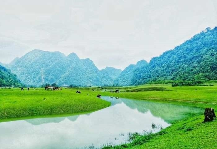 Thảo nguyên Đồng Lâm, Lạng Sơn hoang sơ và quyến rũ