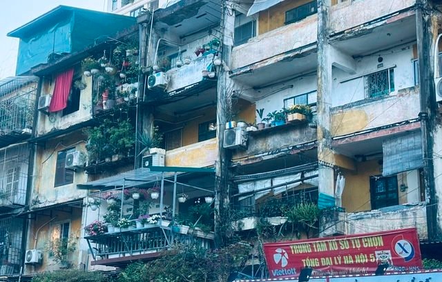 Hà Nội thúc tiến độ cải tạo loạt chung cư cũ quận Hai Bà Trưng