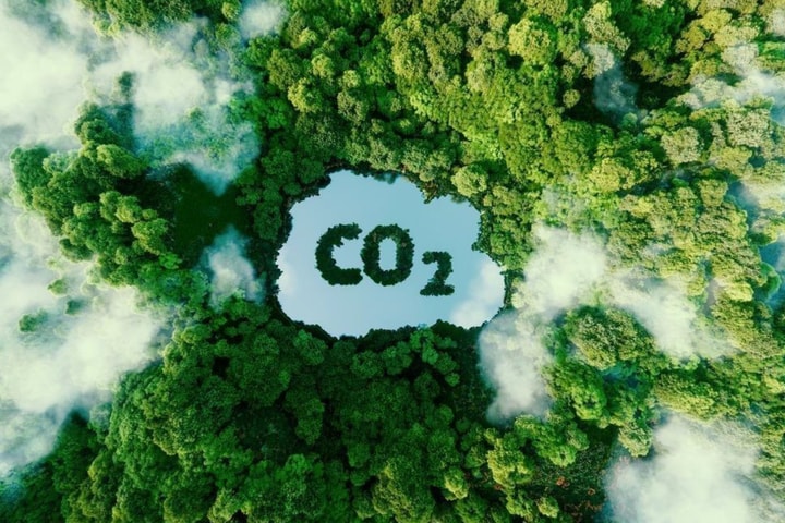 Đánh giá mức độ sẵn sàng chi trả cho giảm phát thải khí CO2 tại Việt Nam