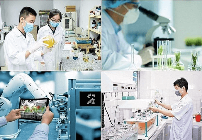 Mô hình S.T.I.D: Con đường để Việt Nam phát triển một xã hội số hiện đại và bền vững