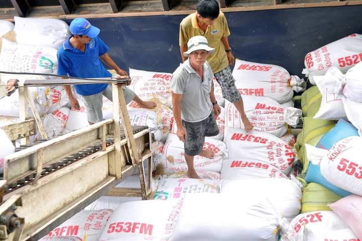 Khẳng định vị thế hạt gạo Việt Nam trong kỷ nguyên vươn mình- Bài 1: Ngành lúa gạo Đồng bằng Sông Cửu Long vẫn “xoay sở” tìm đường bứt phá