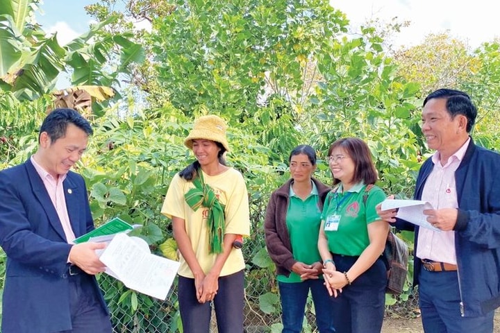 Gia Lai: Vùng biên giới Ia Grai giảm nghèo, làm giàu từ vốn tín dụng chính sách