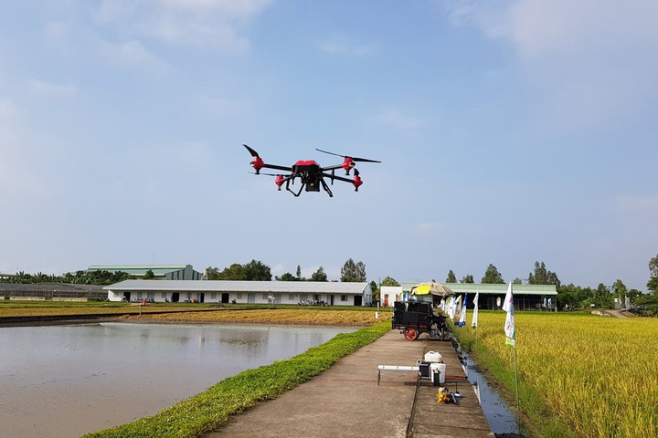 Tín dụng ngân hàng thúc đẩy phát triển nông nghiệp sạch, hiện đại hóa sản xuất tại An Giang