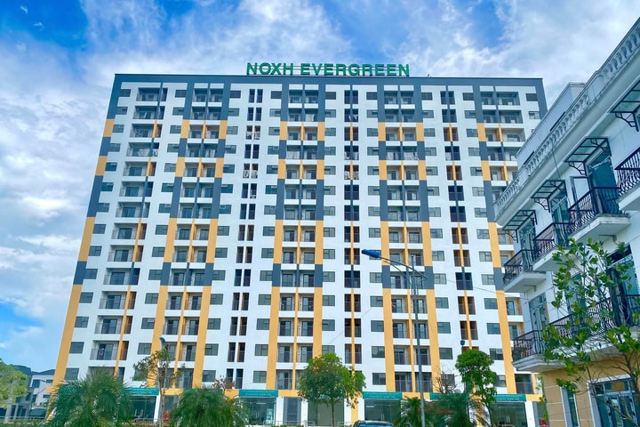TP. Hồ Chí Minh: Triển khai thực hiện Nghị định 261/2025/NĐ-CP để hỗ trợ và tạo điều kiện thuận lợi cho các đối tượng chính sách tiếp cận nhà ở xã hội
