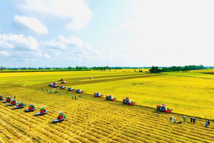 Đưa đồng vốn tín dụng “chảy đúng mạch tam nông” ở địa bàn An Giang
