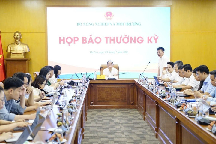 Xuất khẩu nông lâm thủy sản: Cơ cấu thị trường đang có sự thay đổi rõ rệt