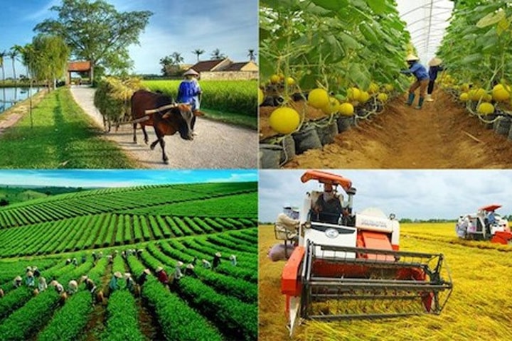 Tạo điều kiện mở rộng tín dụng, tăng khả năng tiếp cận sản phẩm, dịch vụ ngân hàng của khu vực nông nghiệp, nông thôn, nông dân
