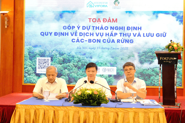 Thu hút nhà đầu tư tham gia thị trường carbon rừng