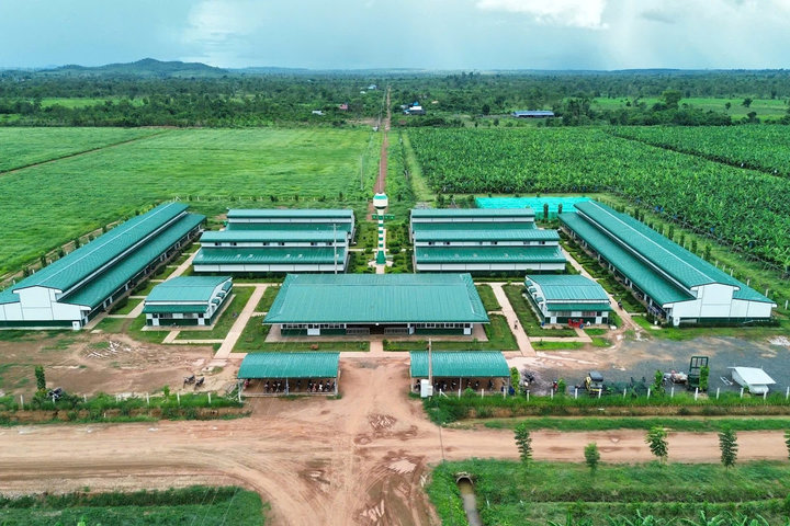 Thaco Agri báo lãi hơn 10 tỷ đồng năm 2024